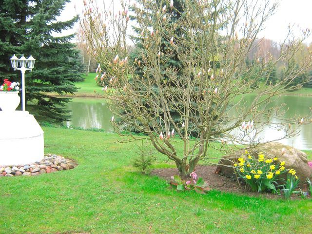 Ferienwohnung in Cismar - Haus am Kojenteich - Klosterdorf Cismar -"Teichwohnung" für Zwei auf idyllischem Seegrundstück - Bild 3