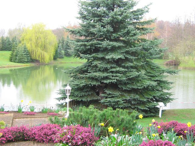 Ferienwohnung in Cismar - Haus am Kojenteich - Klosterdorf Cismar -"Teichwohnung" für Zwei auf idyllischem Seegrundstück - Bild 6