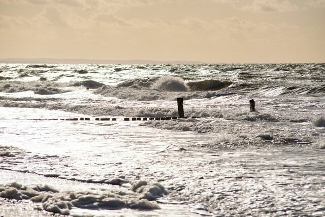 Ferienwohnung in Graal-Müritz - Strandnelke - Bild 18