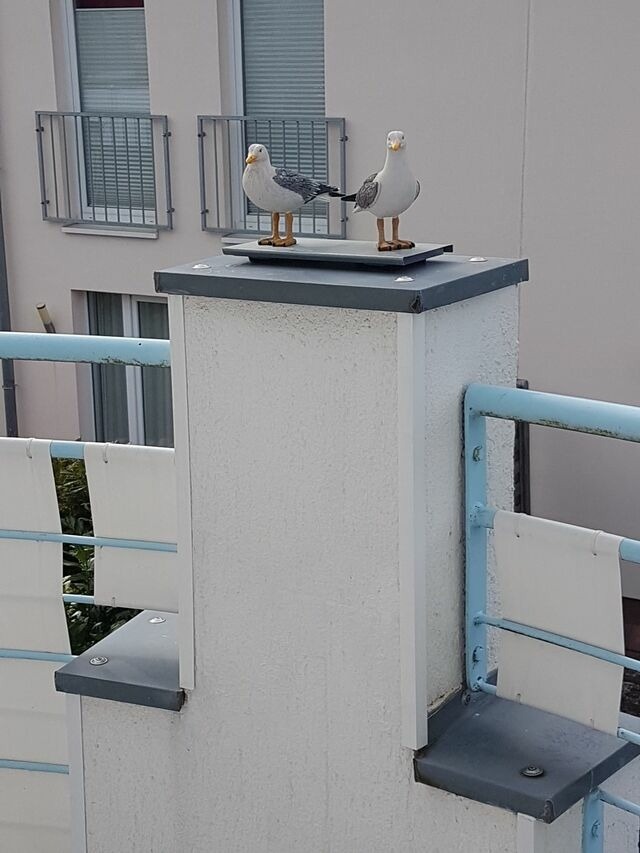 Ferienwohnung in Grömitz - Grüntal 4, Whg. 5 - Bild 14