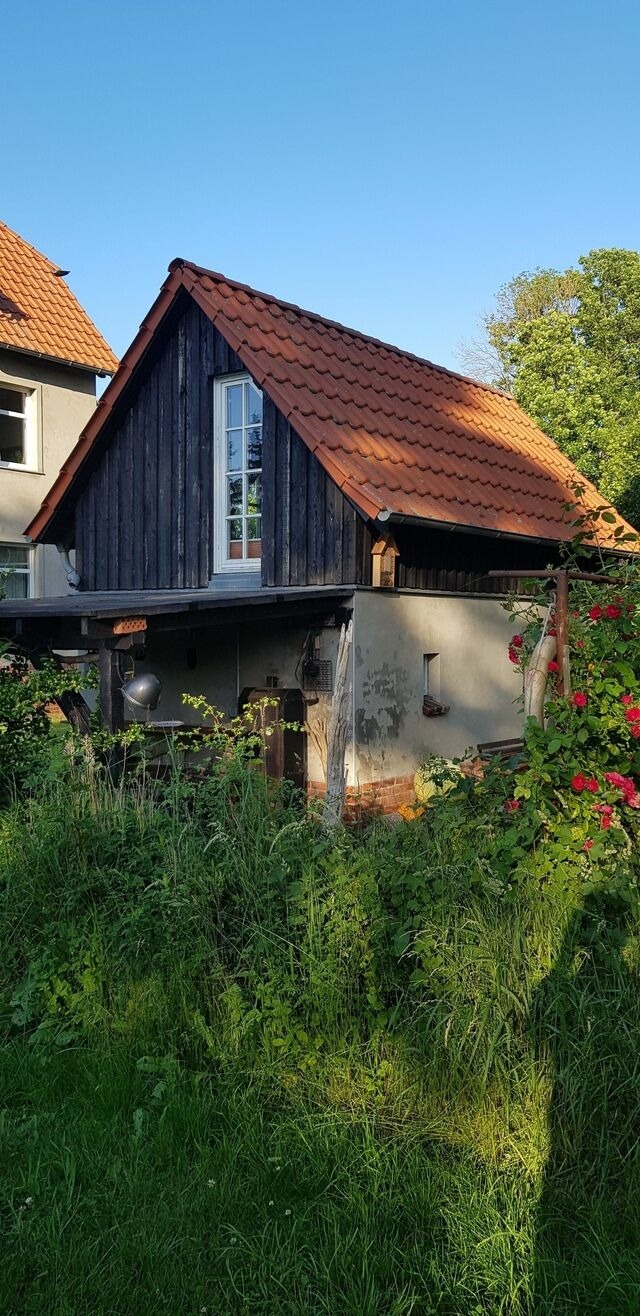 Ferienhaus in Altefähr - Niedliches kleines Ferienhäuschen auf Rügen nahe Stralsund - Bild 7