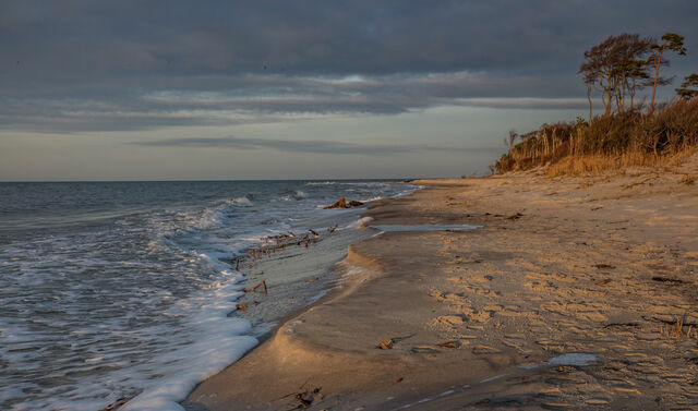 Ferienwohnung in Prerow - FeWo "Prerow" - Bild 14