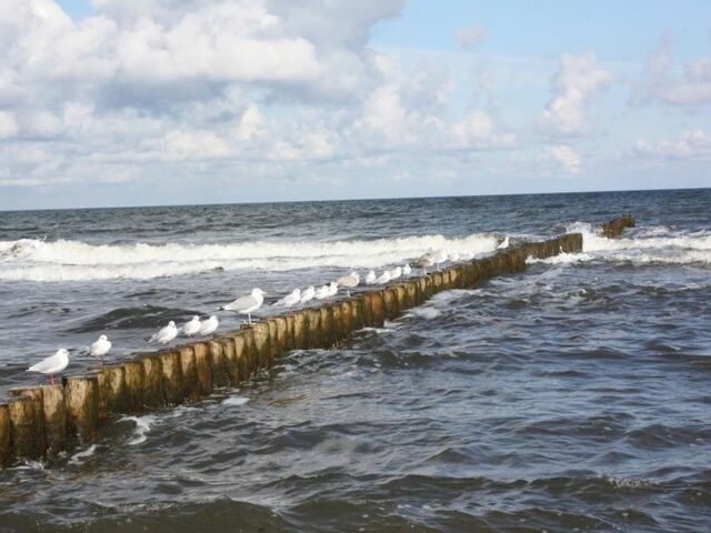 Ferienwohnung in Ostseeheilbad Zingst - Schifferhaus "Kapitänskabine" FW 5 - Bild 15