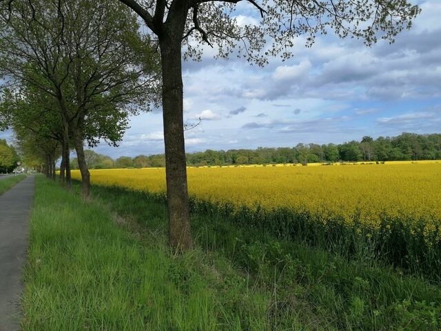 Ferienwohnung in Dahme - Plön Lars - Fewo 2 - Bild 19