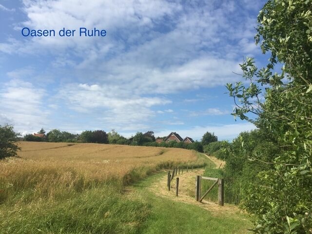 Ferienwohnung in Wendtorf - Whg. Falckenstein - Haus Nordlichter - Bild 20