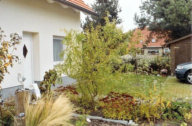 Ferienwohnung in Ostseeheilbad Zingst - Ferienwohnung Möwe - Bild 5