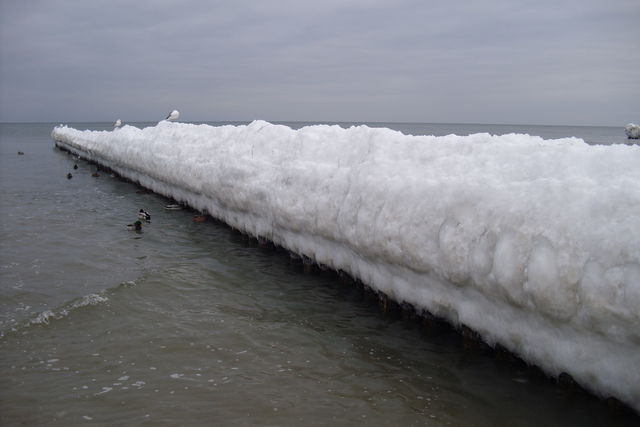 Ferienwohnung in Ostseeheilbad Zingst - Ferienwohnung Möwe - Bild 12
