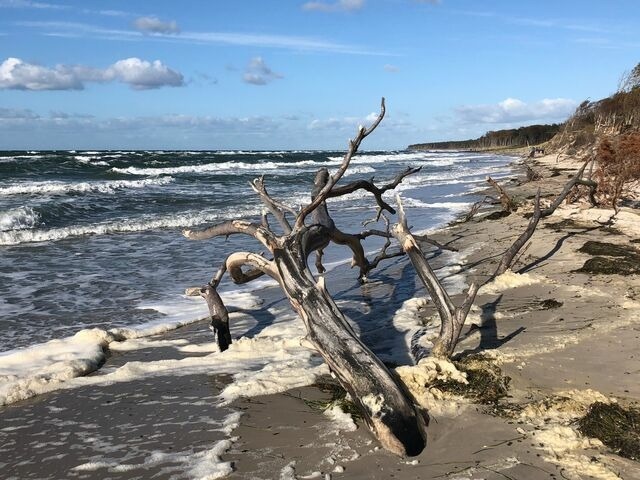 Ferienwohnung in Zingst - Meerzeit - Bild 19