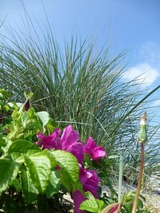 Ferienwohnung in Fehmarn OT Kopendorf - Haus am Dorfteich Kopendorf, Wohnung 2 - Bild 18