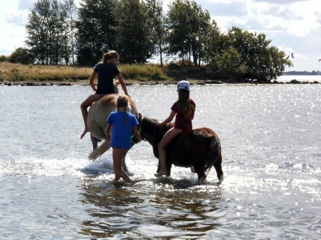 Ferienwohnung in Fehmarn OT Kopendorf - Haus am Dorfteich Kopendorf, Wohnung 2 - Bild 22
