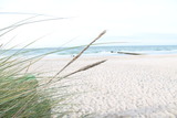 Ferienwohnung in Dierhagen - Strandhafer V4W2 - Bild 19