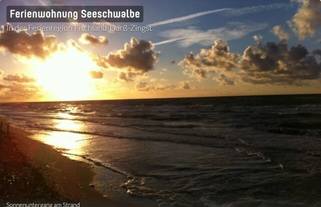 Ferienwohnung in Dierhagen - Seeschwalbe App. 34 - Bild 24
