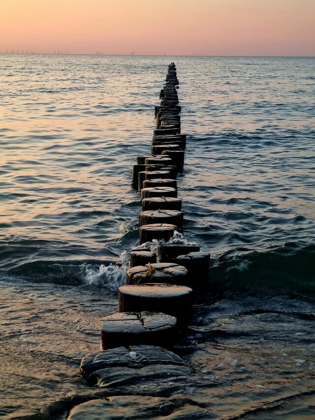 Ferienwohnung in Ostseeheilbad Zingst - Strandmöwe 1 - Bild 13