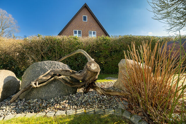 Ferienhaus in Zingst - Ferienhaus Ginster - Bild 3