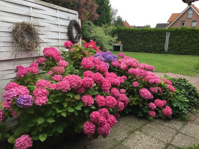 Ferienwohnung in Kellenhusen - Haus Strandläufer Wohnung 3 - Bild 14