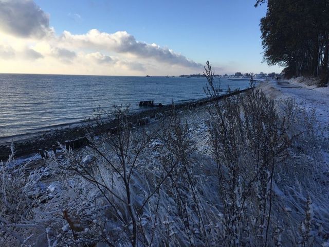 Ferienwohnung in Kellenhusen - Haus Strandläufer Wohnung 3 - Bild 15