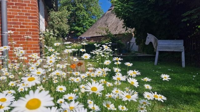 Ferienwohnung in Riepsdorf - [Familienzeit] - freie Zeiten im Sommer - Bild 12