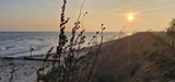 Ferienwohnung in Riepsdorf - [Familienzeit] - freie Zeiten im Sommer - Bild 25