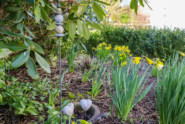 Ferienwohnung in Dahme - FeWo Dünenrose - Bild 20