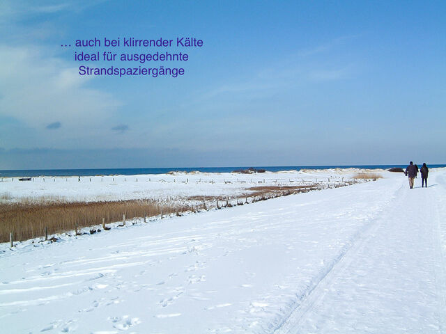 Ferienwohnung in Stein - Whg. Strandläufer- Haus Nordlichter - Bild 23