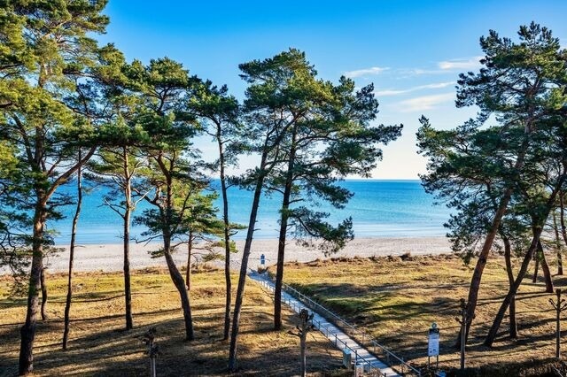 Ferienwohnung in Binz - Villa Strandidyll Binz Typ 2 / Apartment 10 - Bild 7