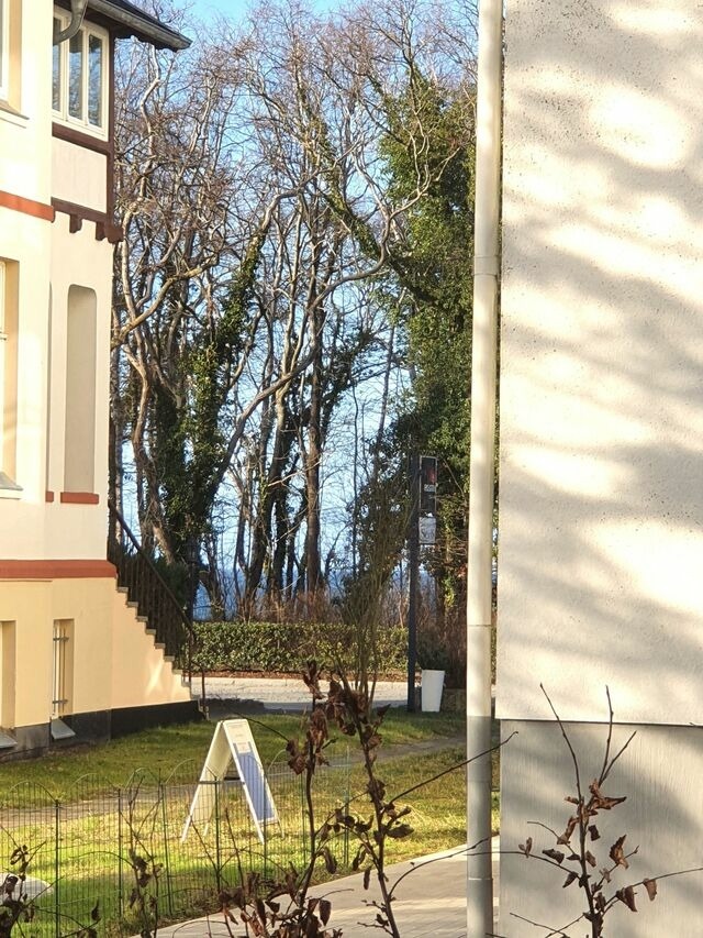 Ferienwohnung in Kühlungsborn - 10113- Villa Camenia, WE 1 - Bild 9
