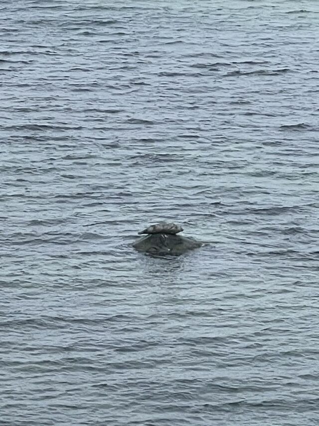 Ferienwohnung in Steinbeck - MP 1 Ankerplatz - Bild 16