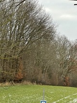 Ferienhaus in Steinbeck - MP 9 Villa - Bild 11