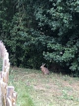 Ferienhaus in Steinbeck - MP 9 Villa - Bild 23