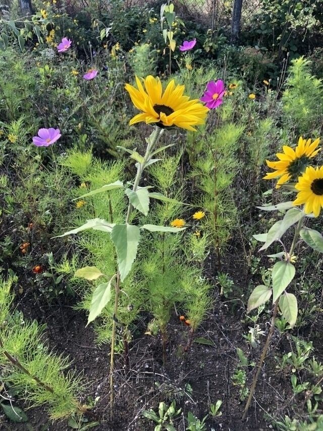 Ferienwohnung in Steinbeck - MP 3 Küstenkind - Bild 14