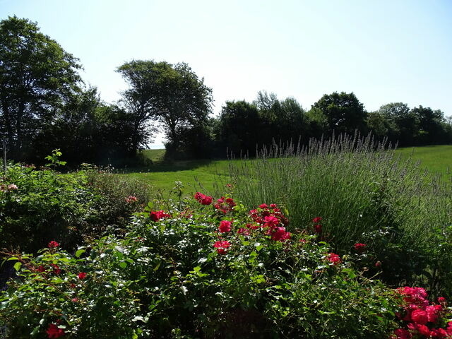 Ferienwohnung in Dahme - "Friesenhof Dahme" Wohnung 1 - Bild 17