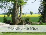 Ferienwohnung in Fehmarn OT Sulsdorf - Hirschfeld Hus (9168/II) - Sulsdorf - Bild 22
