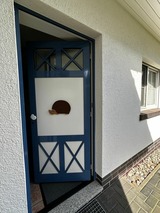 Ferienwohnung in Ostseeheilbad Zingst - Igel - Bild 4