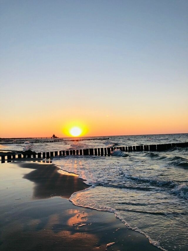 Ferienwohnung in Ostseeheilbad Zingst - Igel - Bild 24