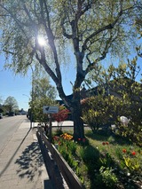 Ferienwohnung in Dahme - Haus Ostwind - Wohnung 2 - Bild 23