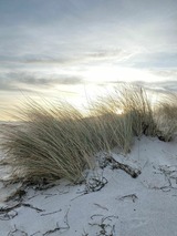 Ferienwohnung in Ostseeheilbad Zingst - Me(e)hrblick App. 215 - Bild 22