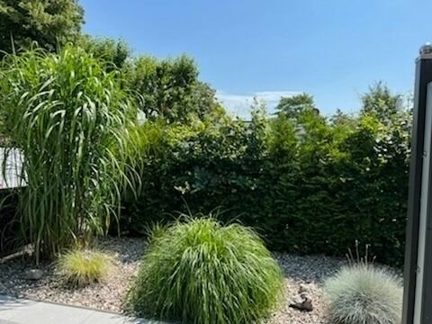 Ferienwohnung in Kellenhusen - Wohnung Christine Okroy 1 - Bild 5