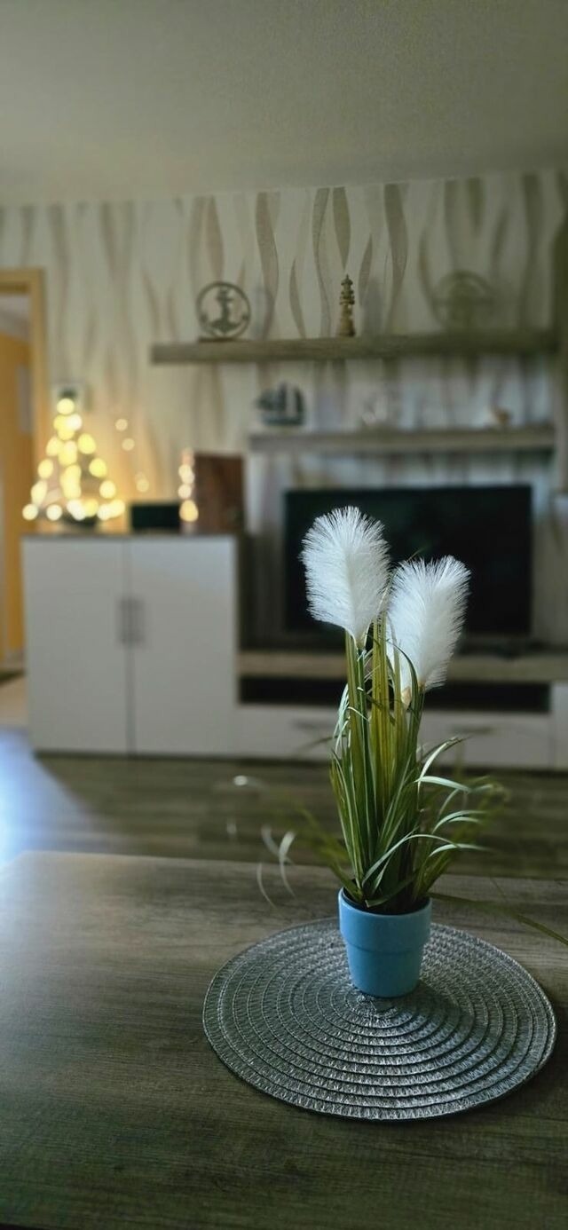 Bungalow in Zinnowitz - Ferienhaus Wiese und Meer - Bild 17