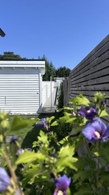 Ferienhaus in Ostseeheilbad Zingst - Haus Traumf&auml;nger III - Bild 6