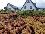 Ferienhaus in Ostseeheilbad Zingst - Haus Traumf&auml;nger III - Bild 8