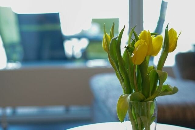 Ferienwohnung in Heiligenhafen - "Dünenpark Heiligenhafen", Haus "Meerdüne", Wohnung "Deck 8" - Bild 16