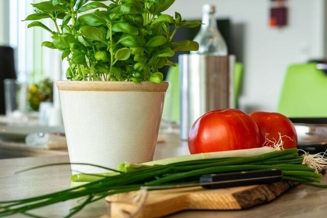 Ferienwohnung in Heiligenhafen - "Dünenpark Heiligenhafen", Haus "Ostseedüne", Wohnung 10 "Ostseenest" - Bild 13