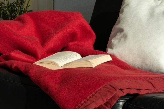 Ferienwohnung in Gro&szlig;enbrode - Haus "Hamburg-Berlin", Wohnung "Kaj&uuml;te 31" - Bild 7