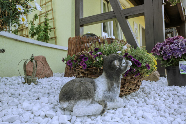 Ferienwohnung in Dahme - Ostseetraum Studio OG - Bild 9