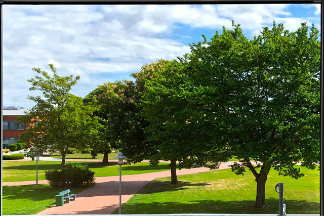 Ferienwohnung in Heiligenhafen - M&ouml;wennest G-1-3 - Bild 18