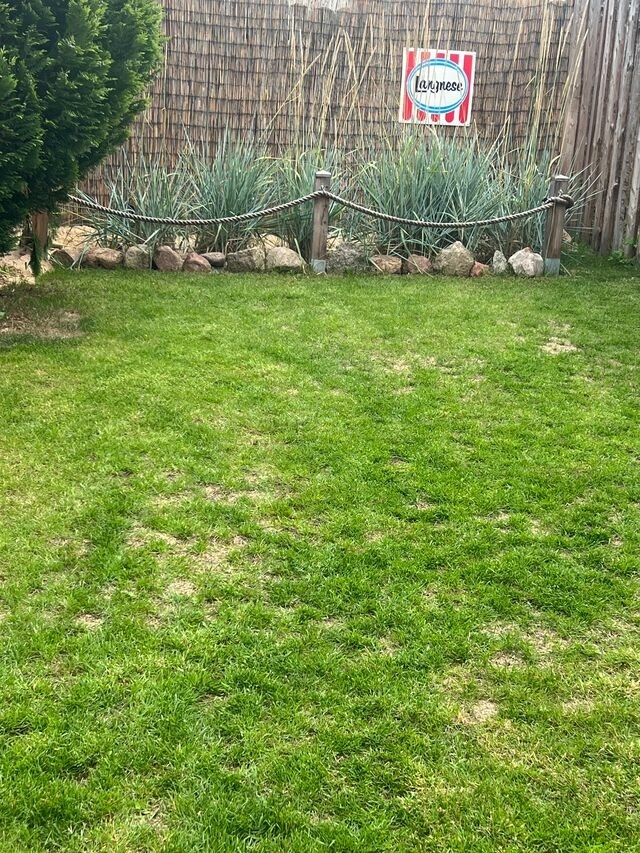 Ferienhaus in Heiligenhafen - Möwe 44 - Bild 24