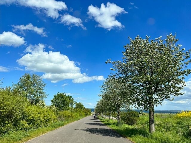 Ferienhaus in Hohenkirchen OT Beckerwitz - Zu Fu&szlig; zum Strand - familienfreundlich zwischen Wismar und Boltenhagen (Wallbox am Haus!) - Bild 11