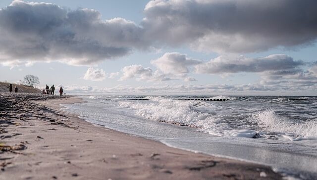 Ferienwohnung in Ahrenshoop - Seepferd - Bild 8