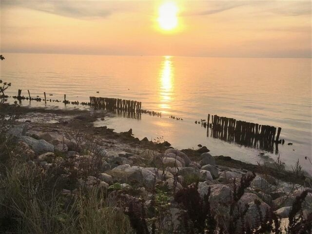 Ferienwohnung in Dahme - Dahmer Strand 18 Muschelhus - Bild 23