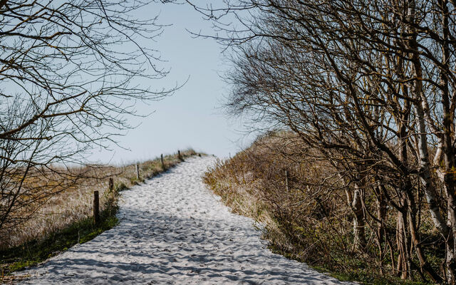 Ferienwohnung in Ahrenshoop - Seestern - Bild 9